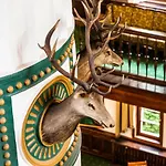 Palac Mysliwski W Antoninie 4*