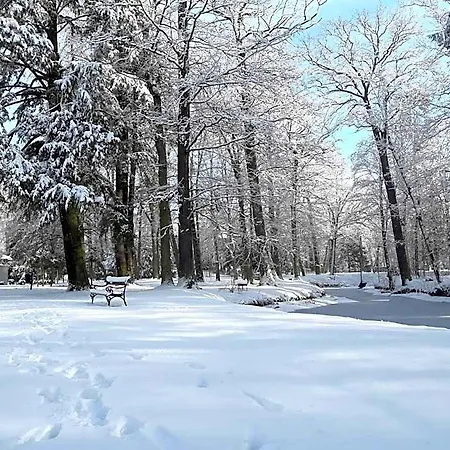 Palac Mysliwski W Antoninie 4* Antonin (Ostrow Wielkopolski)