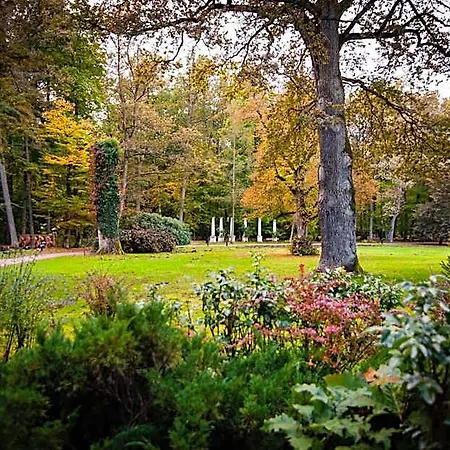 Palac Mysliwski W Antoninie Bed & Breakfast 4*