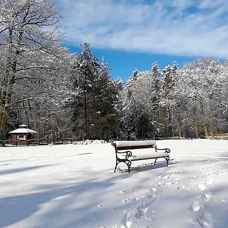Bed & Breakfast Palac Mysliwski W Antoninie