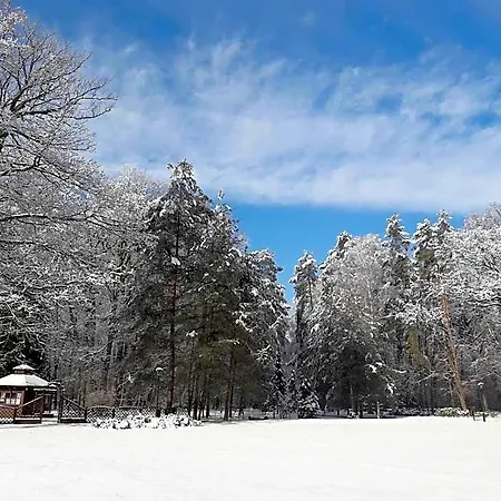 Palac Mysliwski W Antoninie Bed & Breakfast Antonin (Ostrow Wielkopolski)
