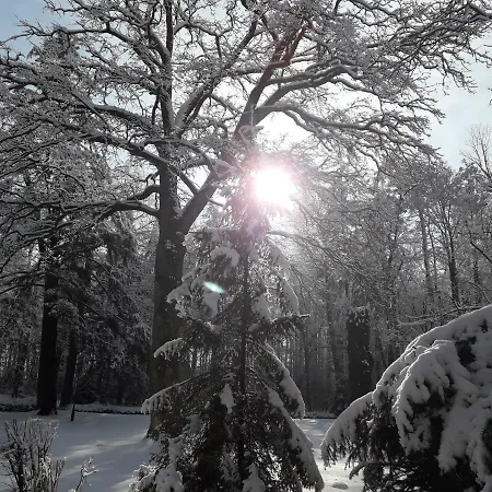 Palac Mysliwski W Antoninie 4*