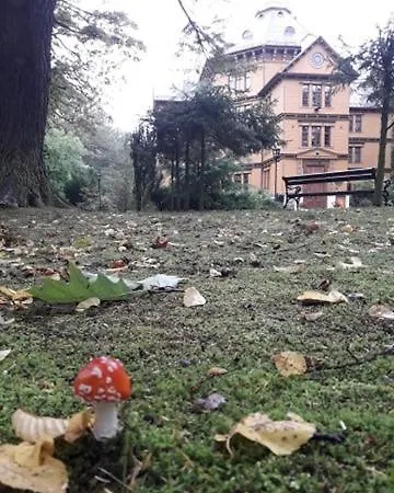 ベッド・アンド・ブレックファスト Palac Mysliwski W Antoninie 4*