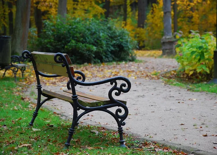 Bed & Breakfast Palac Mysliwski W Antoninie