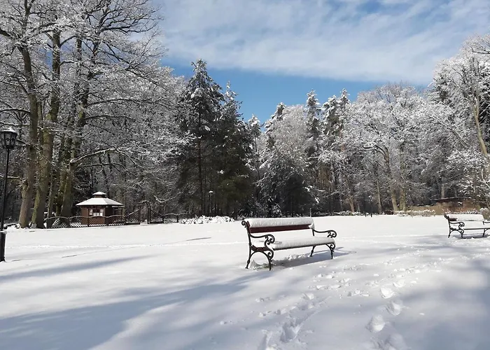 Bed & Breakfast Palac Mysliwski W Antoninie 4*