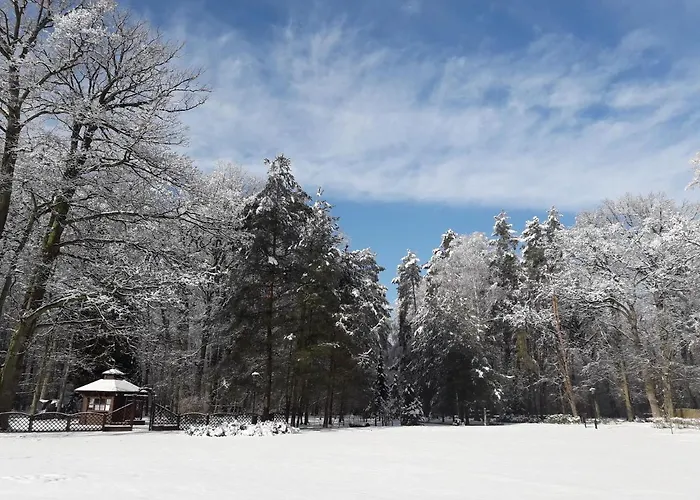 Palac Mysliwski W Antoninie