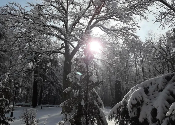 Palac Mysliwski W Antoninie 4*