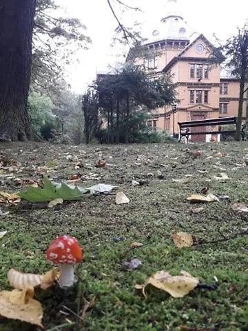 Bed & Breakfast Palac Mysliwski W Antoninie 4*