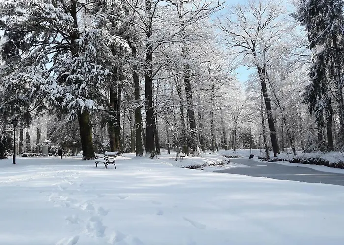 Palac Mysliwski W Antoninie 4*